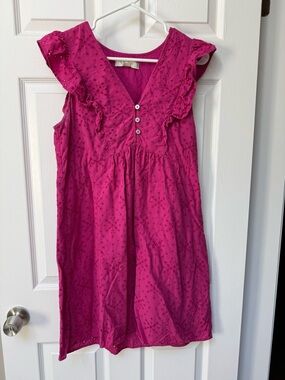 LOFT Hot Pink Eyelet Ruffle Dress